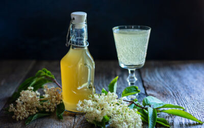 Elderflower Cordial with Bubbly Wine