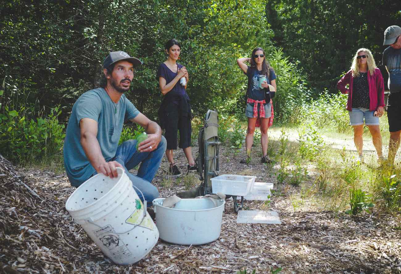 Summer - Wild Berry Bonanza - Image 4