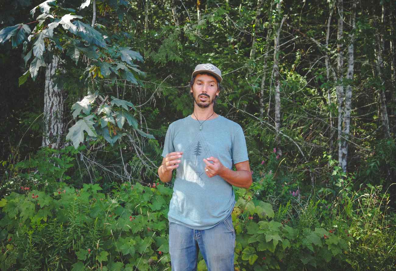 Summer - Wild Berry Bonanza - Image 6