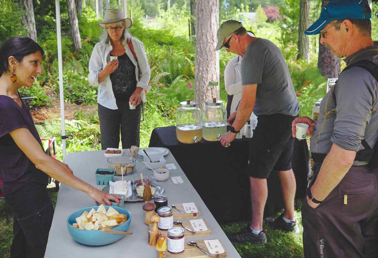 Summer - Wild Berry Bonanza - Image 2