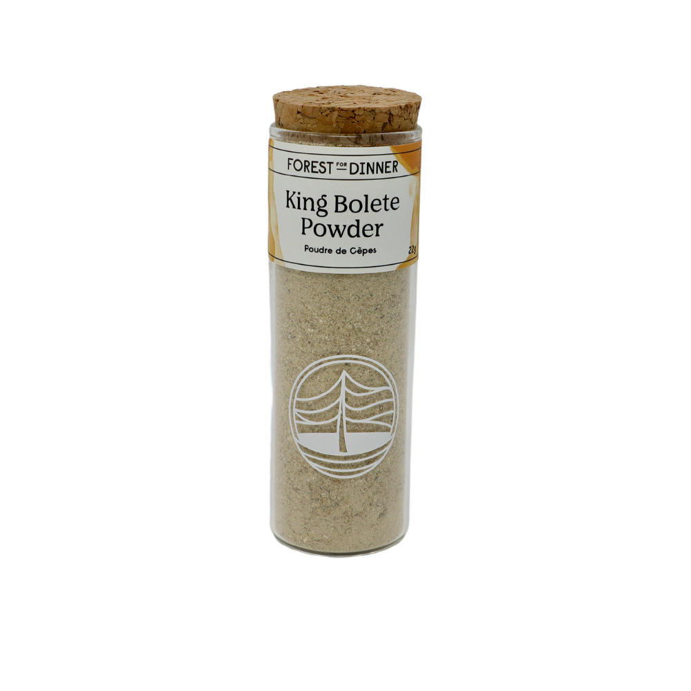 king-bolete-powder
