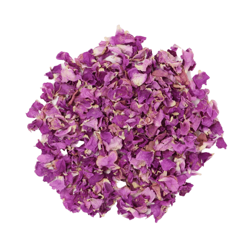 nootka-rose-dried