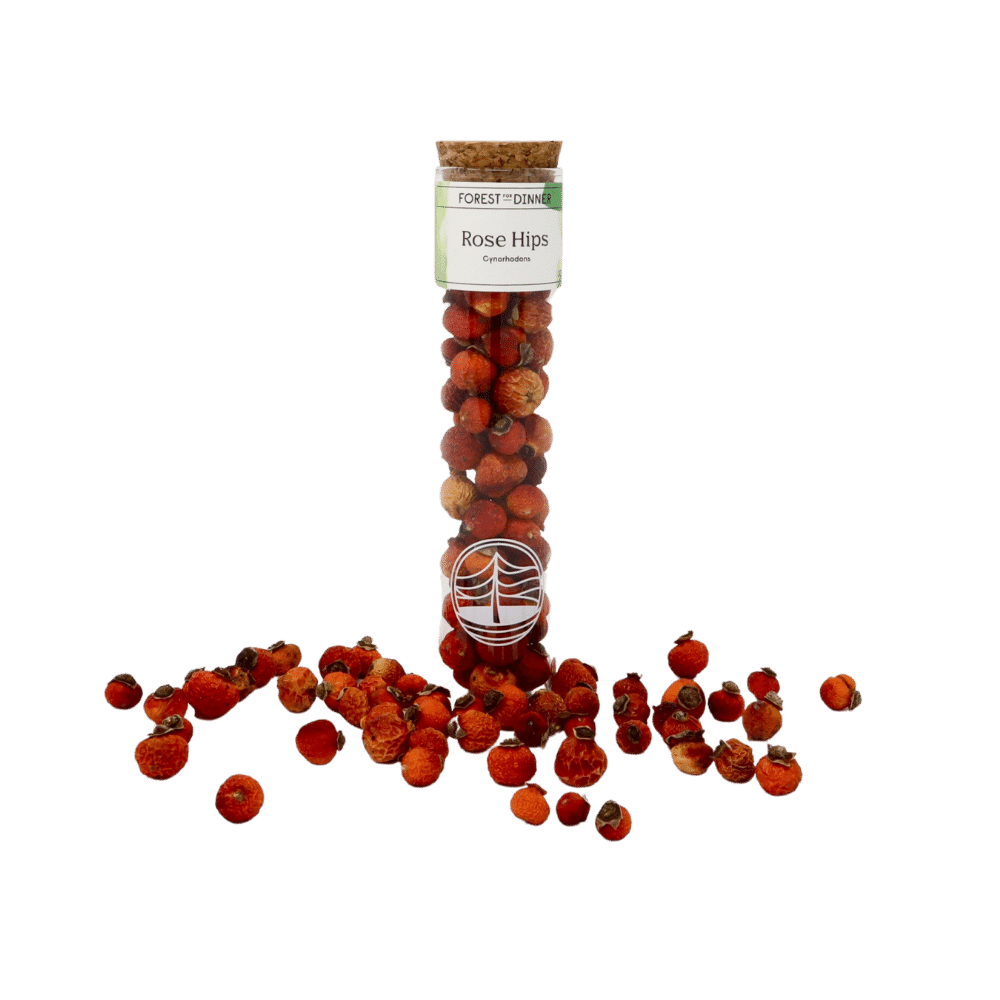 rose-hips-tube