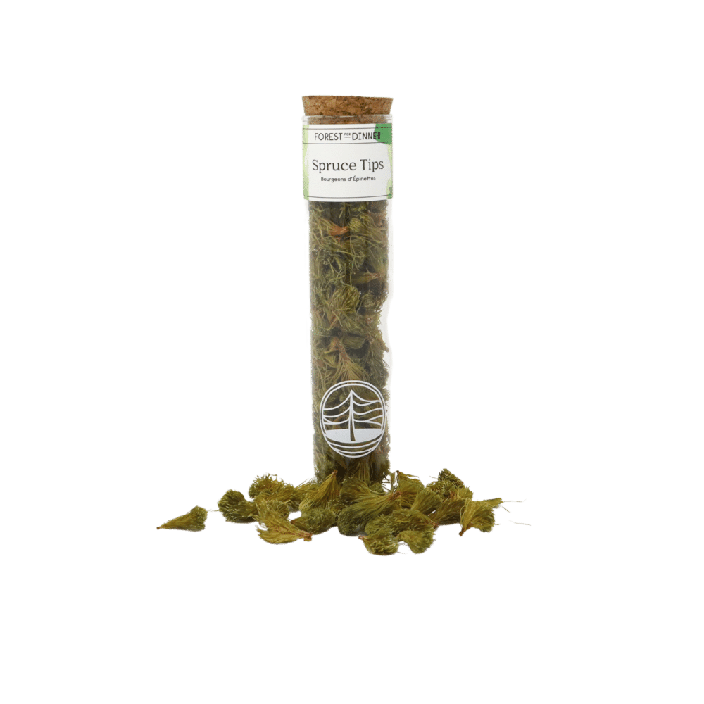 spruce-tips-tube