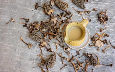 Wild Mushroom Sauce